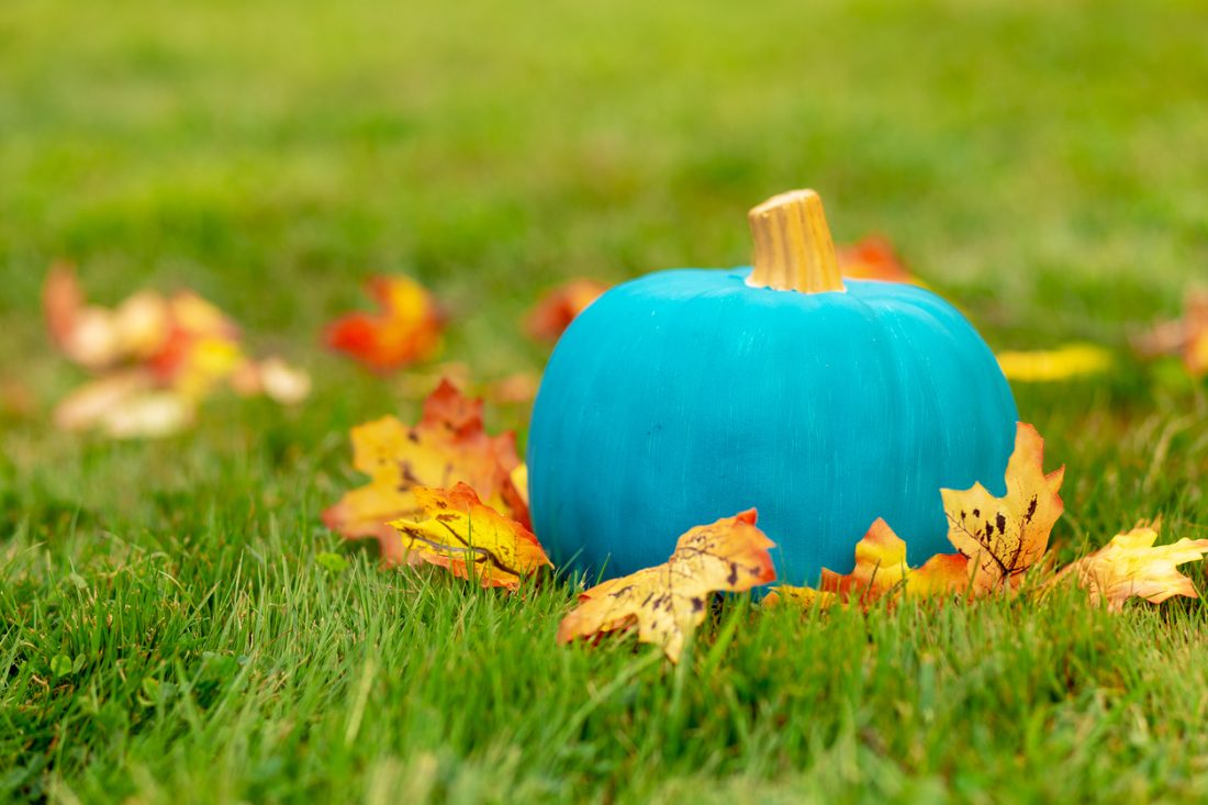Teal Pumpkins Raise Food Allergy Awareness!